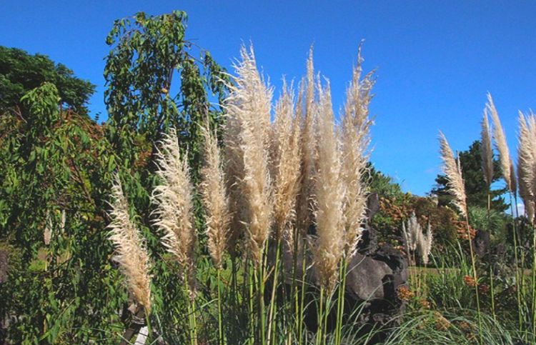 제주 송당동화마을