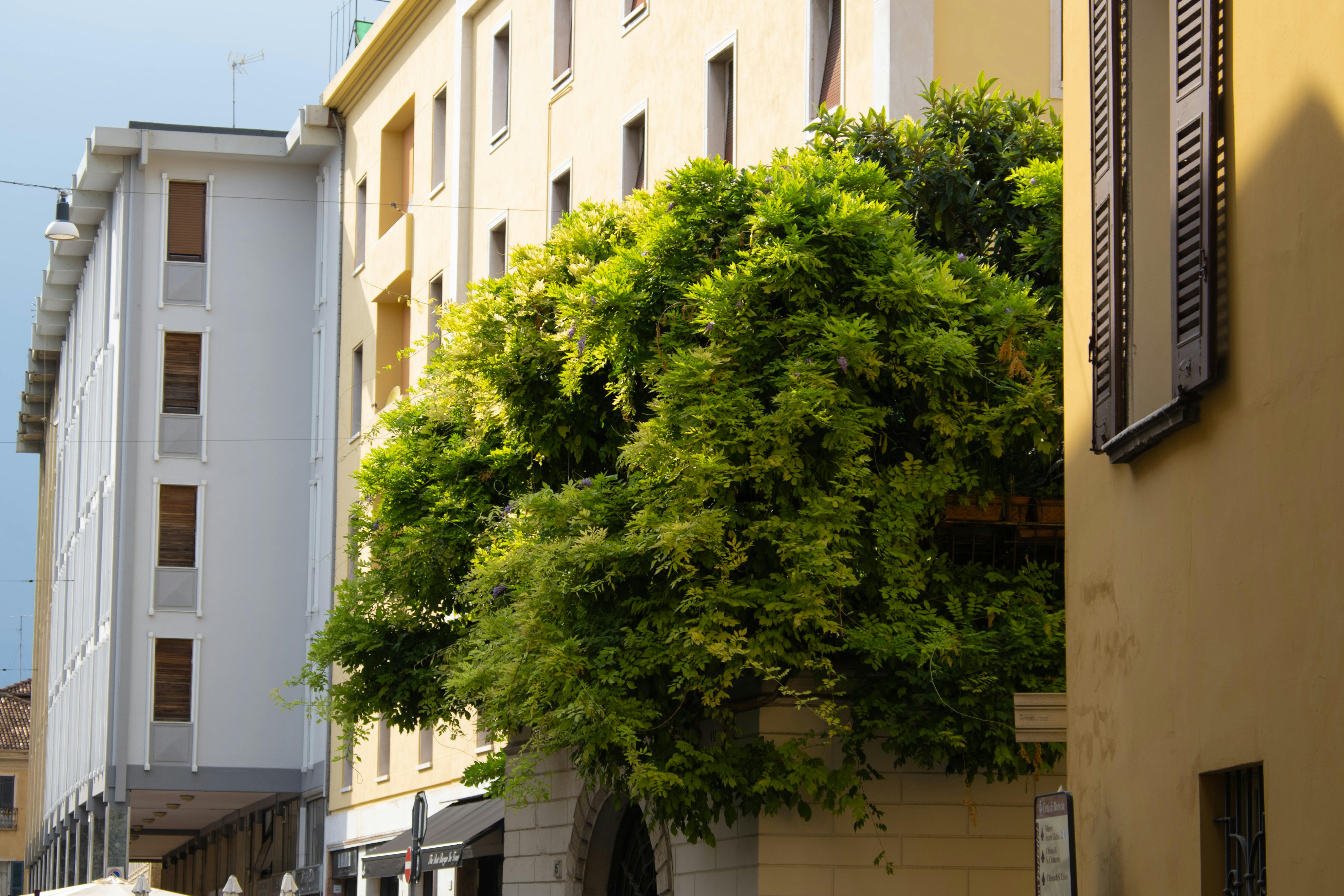 2025년 8월 26일 내일 띠별 운세&amp;#44; 당신의 하루는 어떨까요?