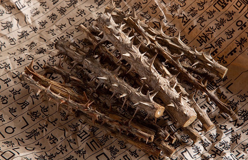 6시내고향 평창 가시오갈피