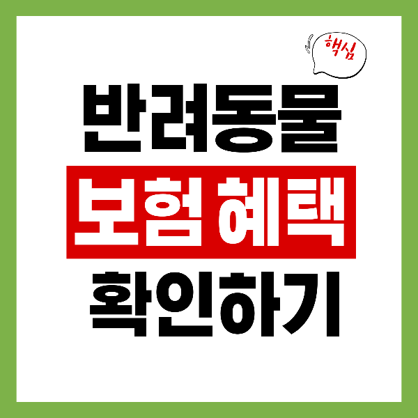몰라서 못 받는 반려동물 보험 혜택, 지금 바로 확인하세요