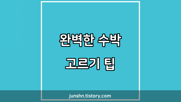 완벽한 수박 고르기 팁