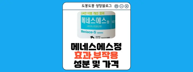 메네스에스정 안내 이미지