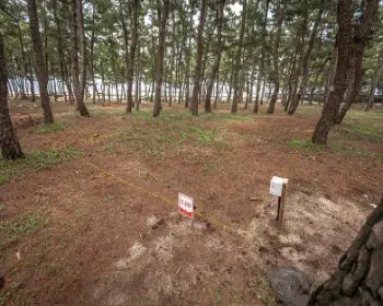 연곡 솔향기 캠핑장 c 구역_2