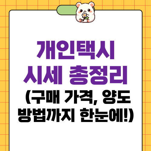 개인택시 시세
