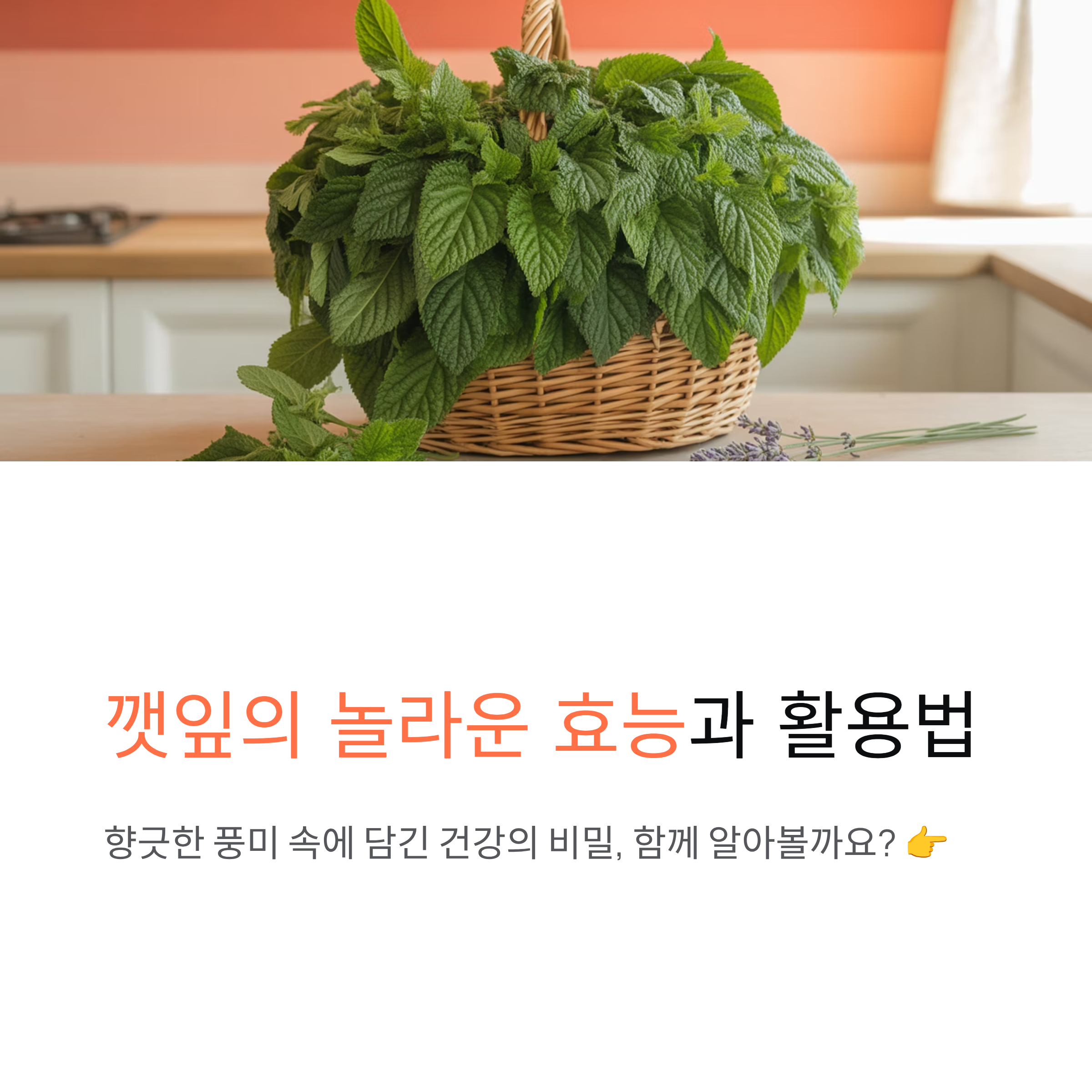 깻잎 효능부터 김치와 양념장 레시피, 다양한 깻잎 요리 활용법까지 총정리