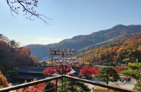 가을 단풍 명소 경기도 광주 곤지암 화담숲 예약