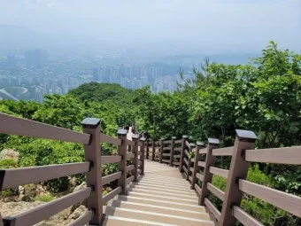 수리산 등산코스 추천 태을봉과 관모봉 완전 탐방 가이드_19