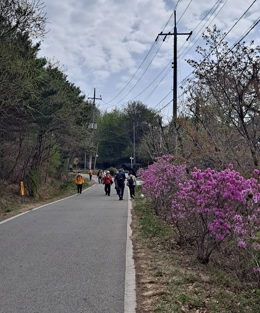 고려산 전망대 가는 중