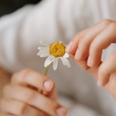 2024 무료 신년운세