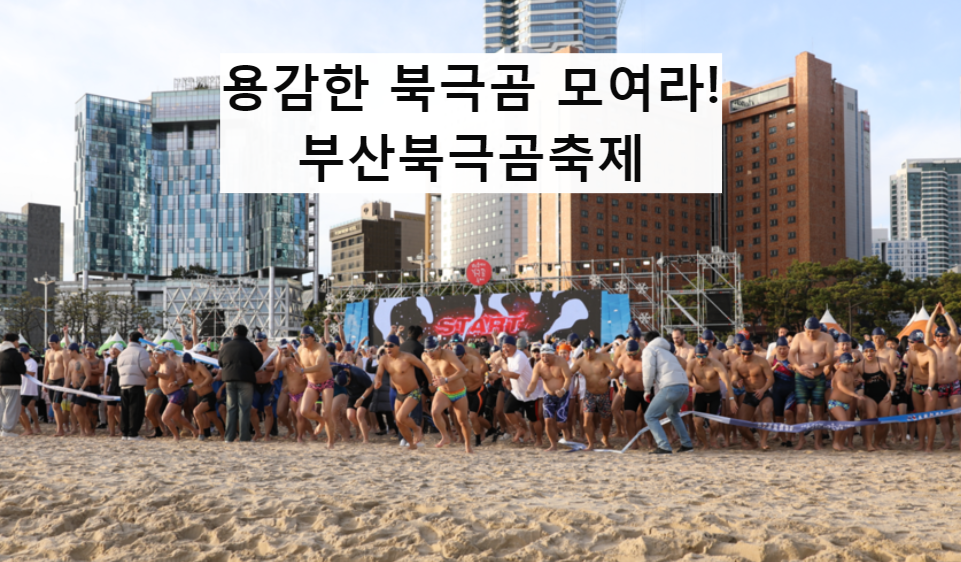 행사 사진