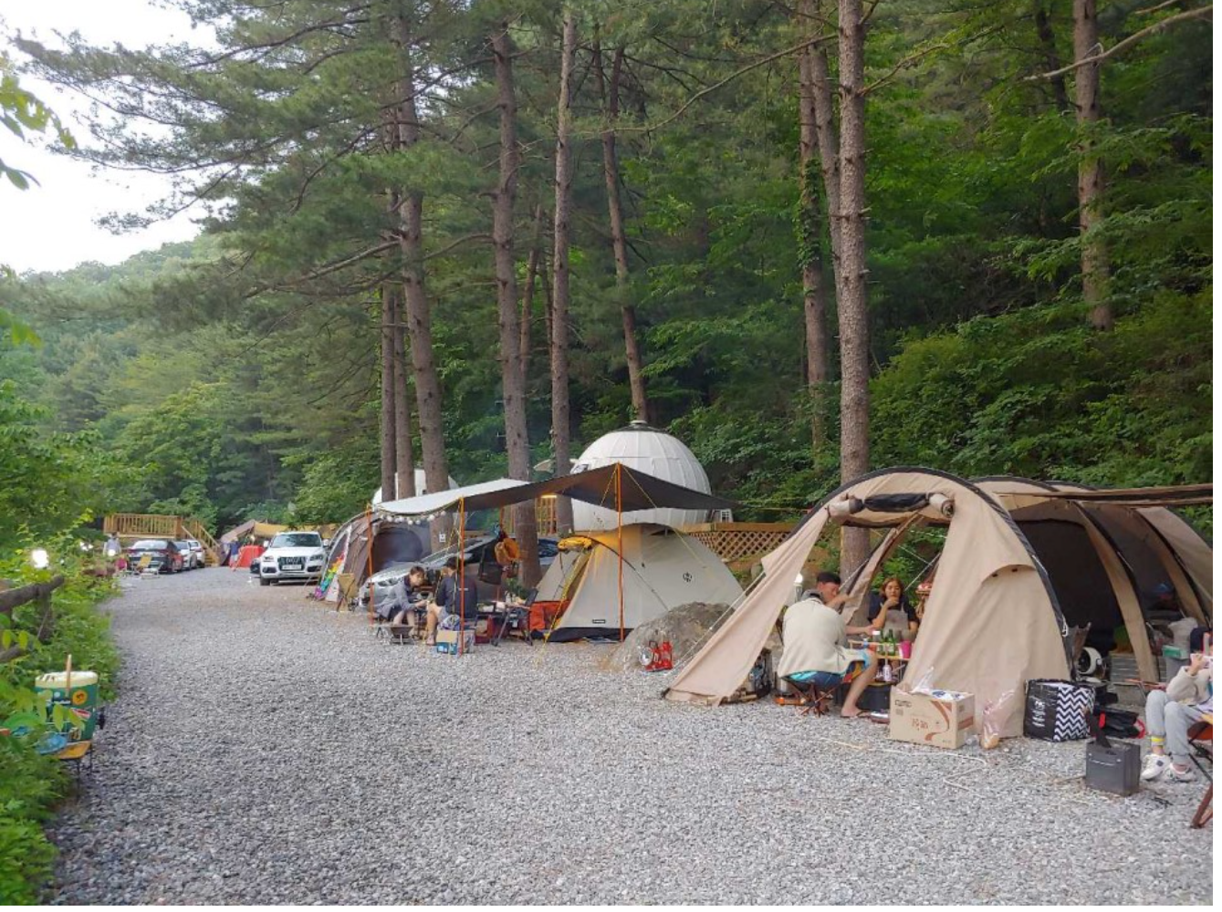 캠핑 시설과 장점들 ✨