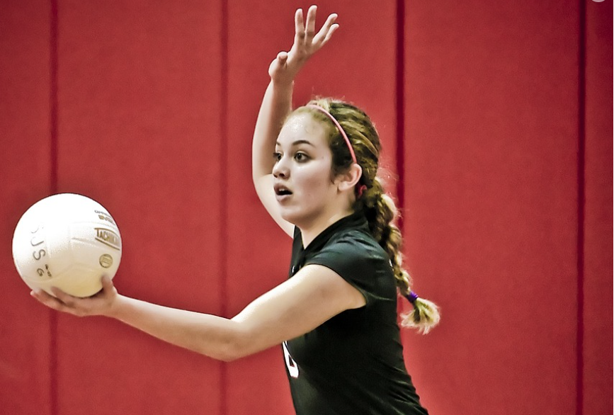 배구용 장비 및 유지보수 방법