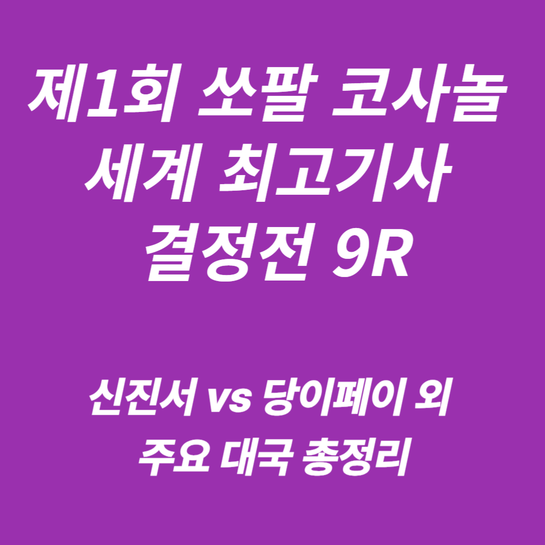 2025년 제1회 쏘팔 코사놀 세계 최고기사 결정전 9라운드