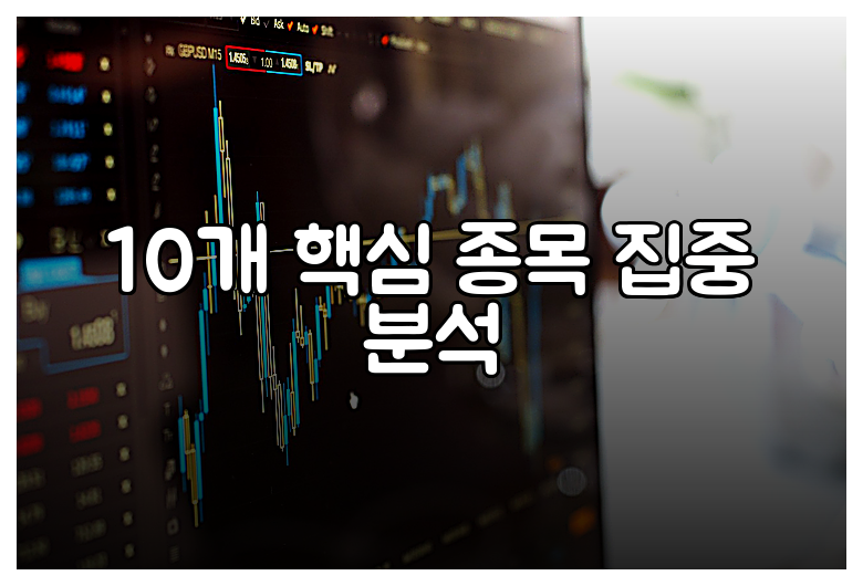 10개 핵심 종목 집중 분석