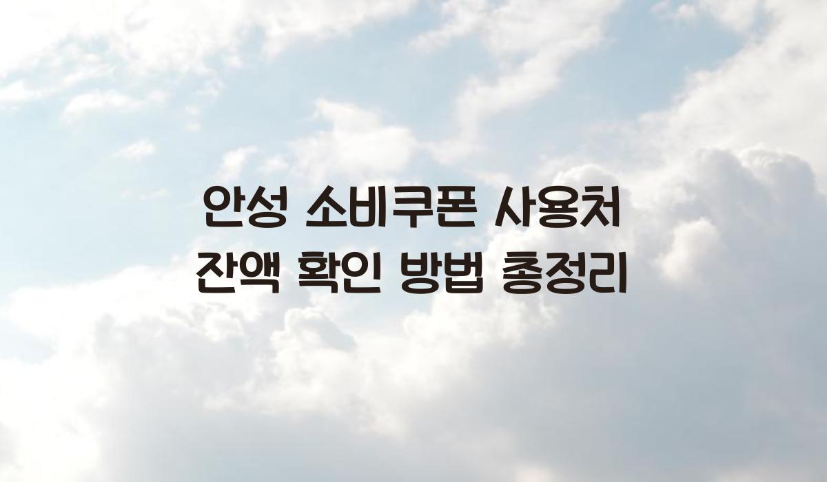 안성 소비쿠폰 사용처 잔액 확인 방법 총정리