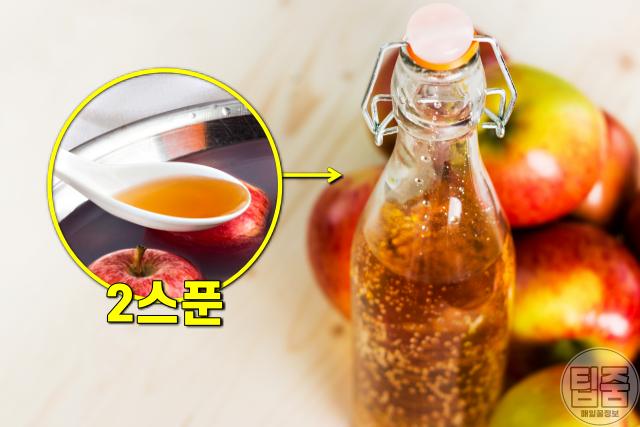 식욕억제제 약 효과 식욕감퇴 음식,사과식초,가짜식욕퇴치