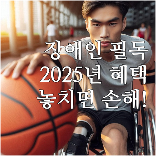 2025 장애인 일자리 지원 사업 놓..