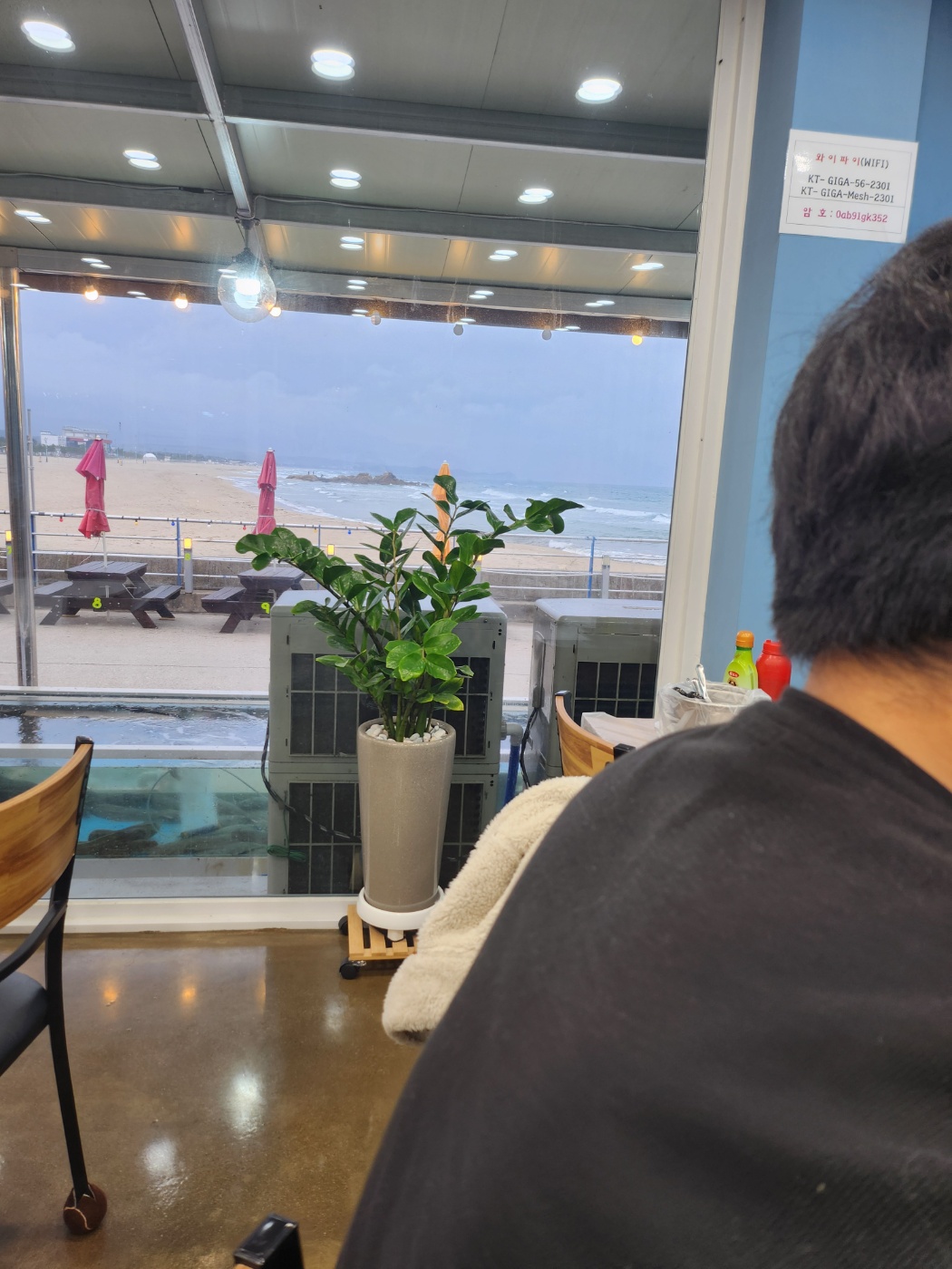 양양맛집 하조대맛집 어촌계회센터