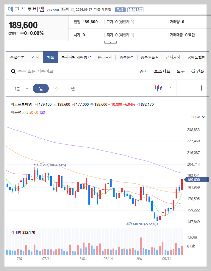 에코프로비엠 주가 분석