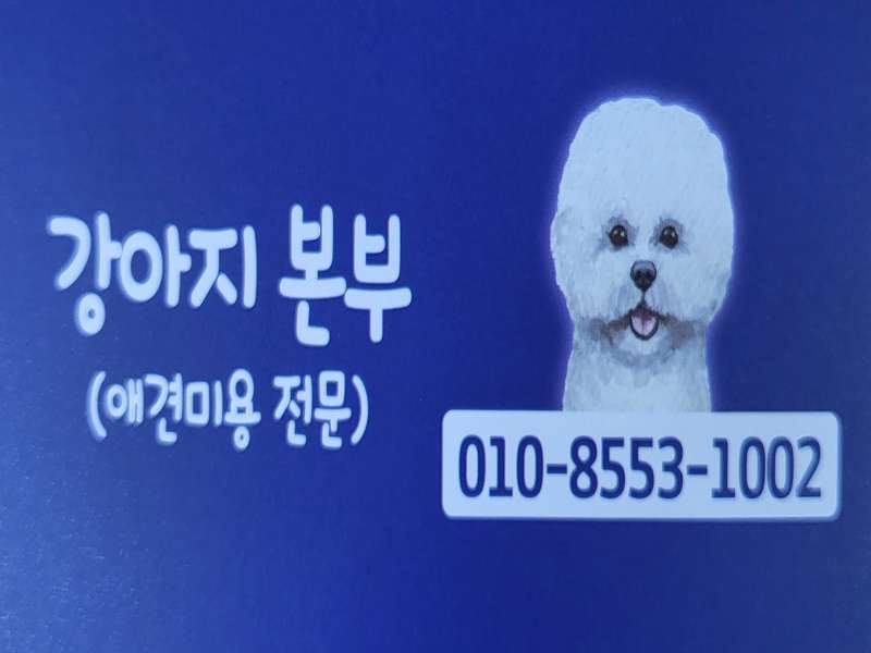 3. 강아지본부 소개