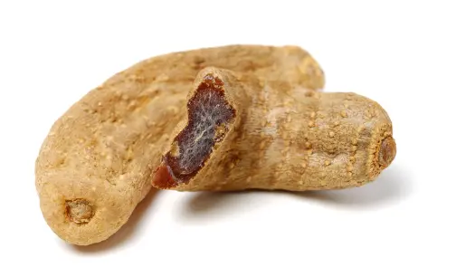 천마 효능효과 및 부작용