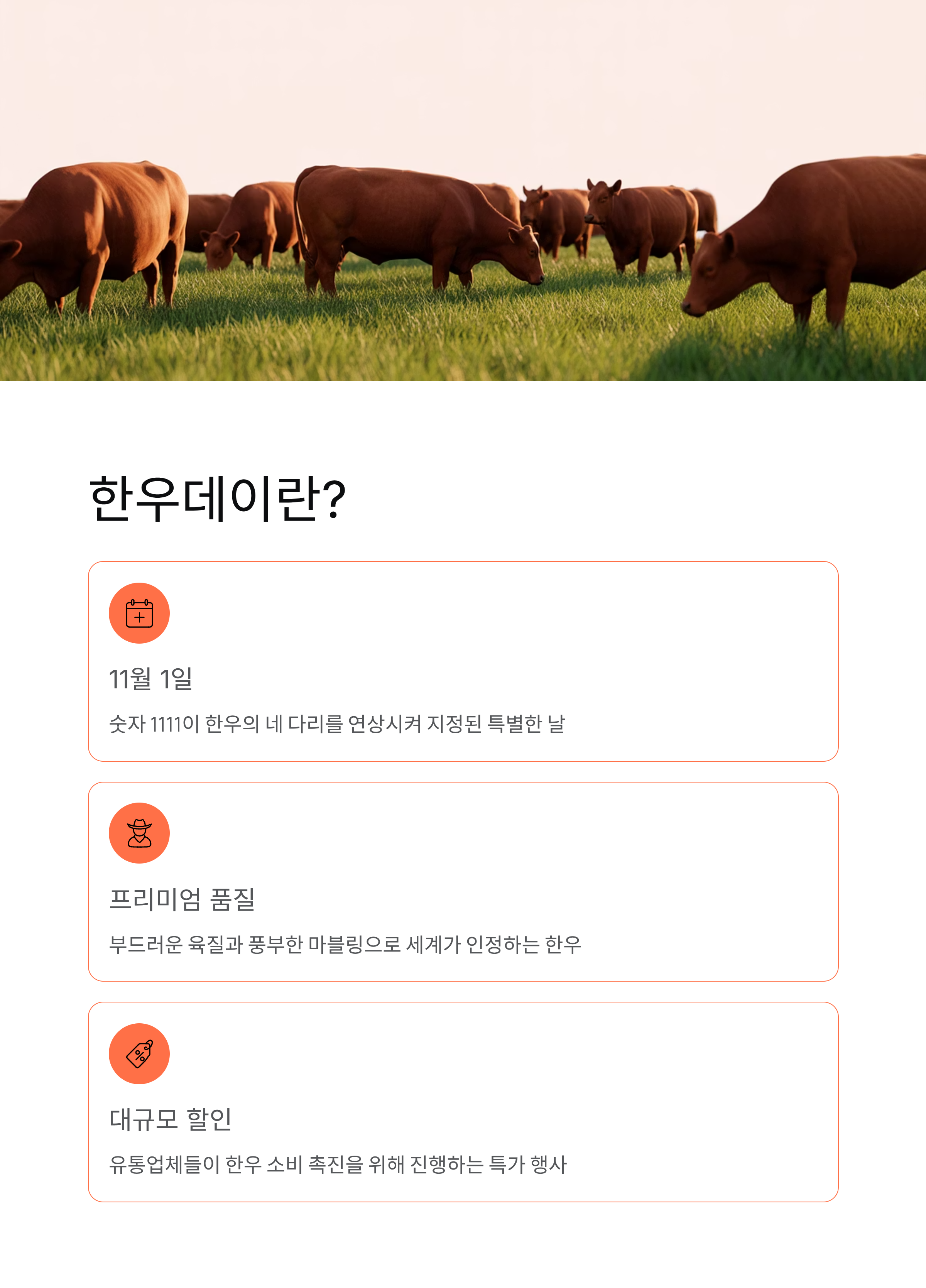 쿠팡 한우데이 기획전, 1++등급 저온숙성 한우 특가!