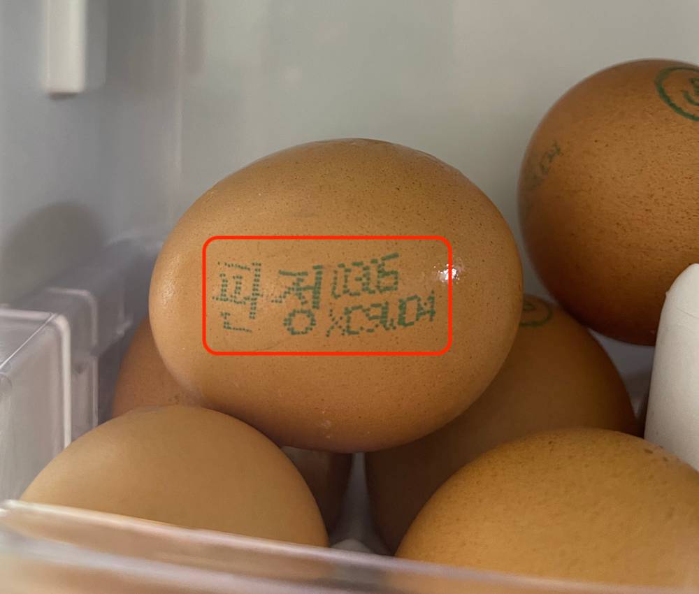 난각번호가 새겨진 계란