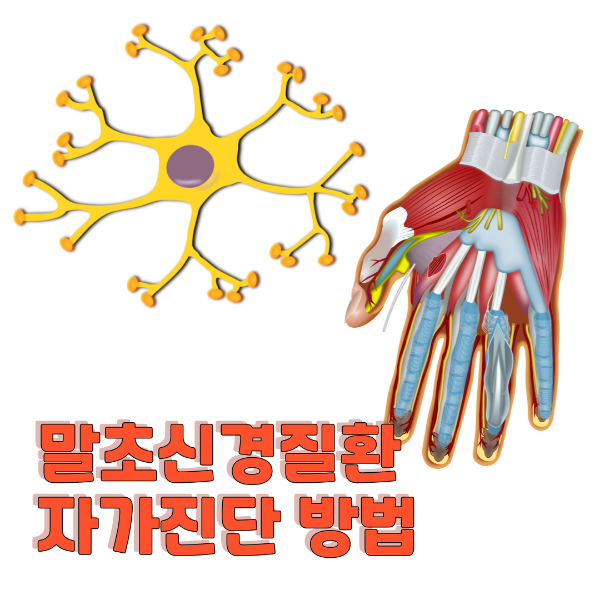 말초신경질환 자가진단 방법