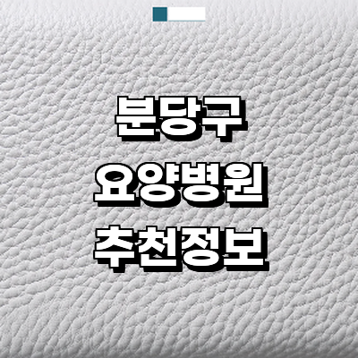 성남 분당구 요양병원