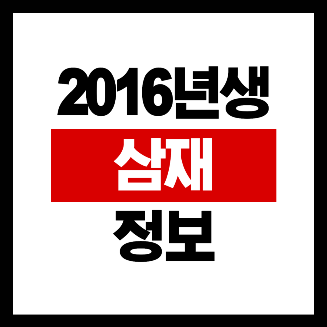 2016년생 삼재