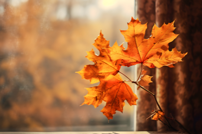 경기도 가을축제