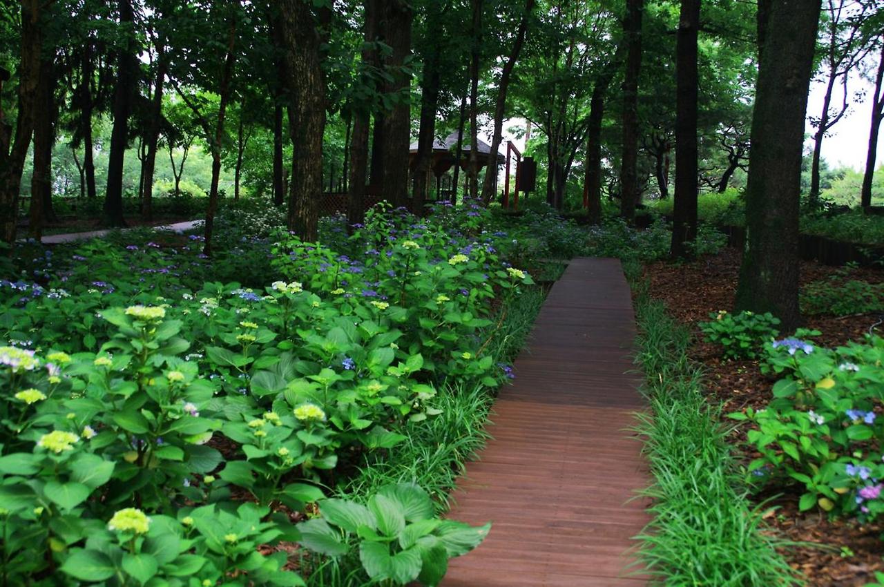 화담숲 온라인으로 3분만에 예약하기