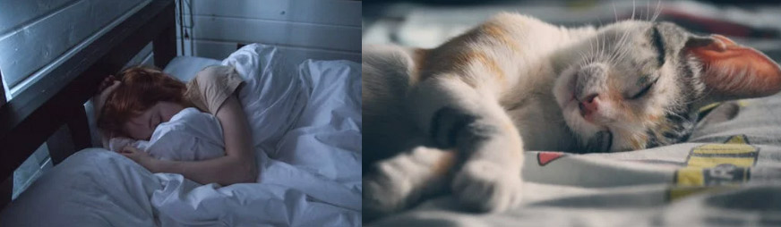 태몽 임신 출산하는 꿈 꽃과 돼지 용이 나오는 꿈 해석