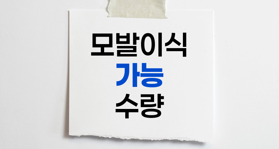 모발이식 가능 수량의 진실