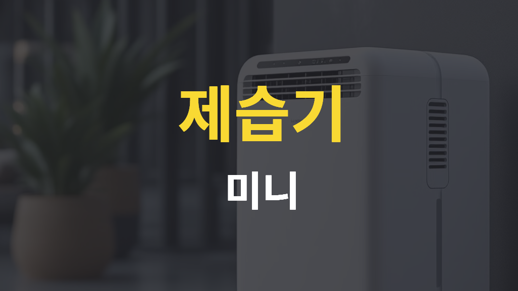 미니 제습기 화장실 베란다 원룸 제습기 공간별 맞춤 추천