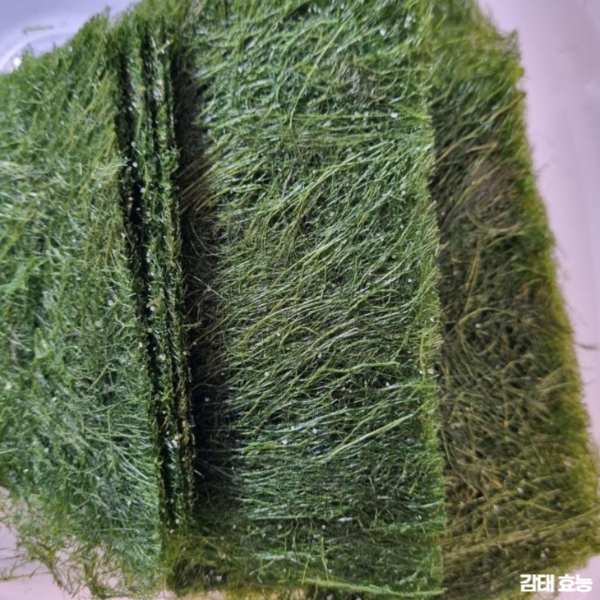 감태 효능 : 감태 효능과 부작용 알고 드세요!