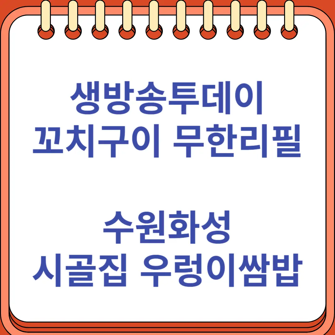 생방송투데이 꼬치구이 무한리필 오마카세 수원화성 시골집 우렁이쌈밥