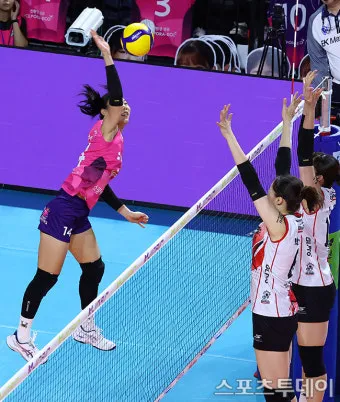 2025 2026 시즌 흥국생명 배구단 선수 명단 및 연봉 계약 FA 외국인 선수 정보 로스터 분석_16