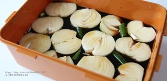 햇양파 장아찌 만드는 식초 활용법과 보관법 정리_14