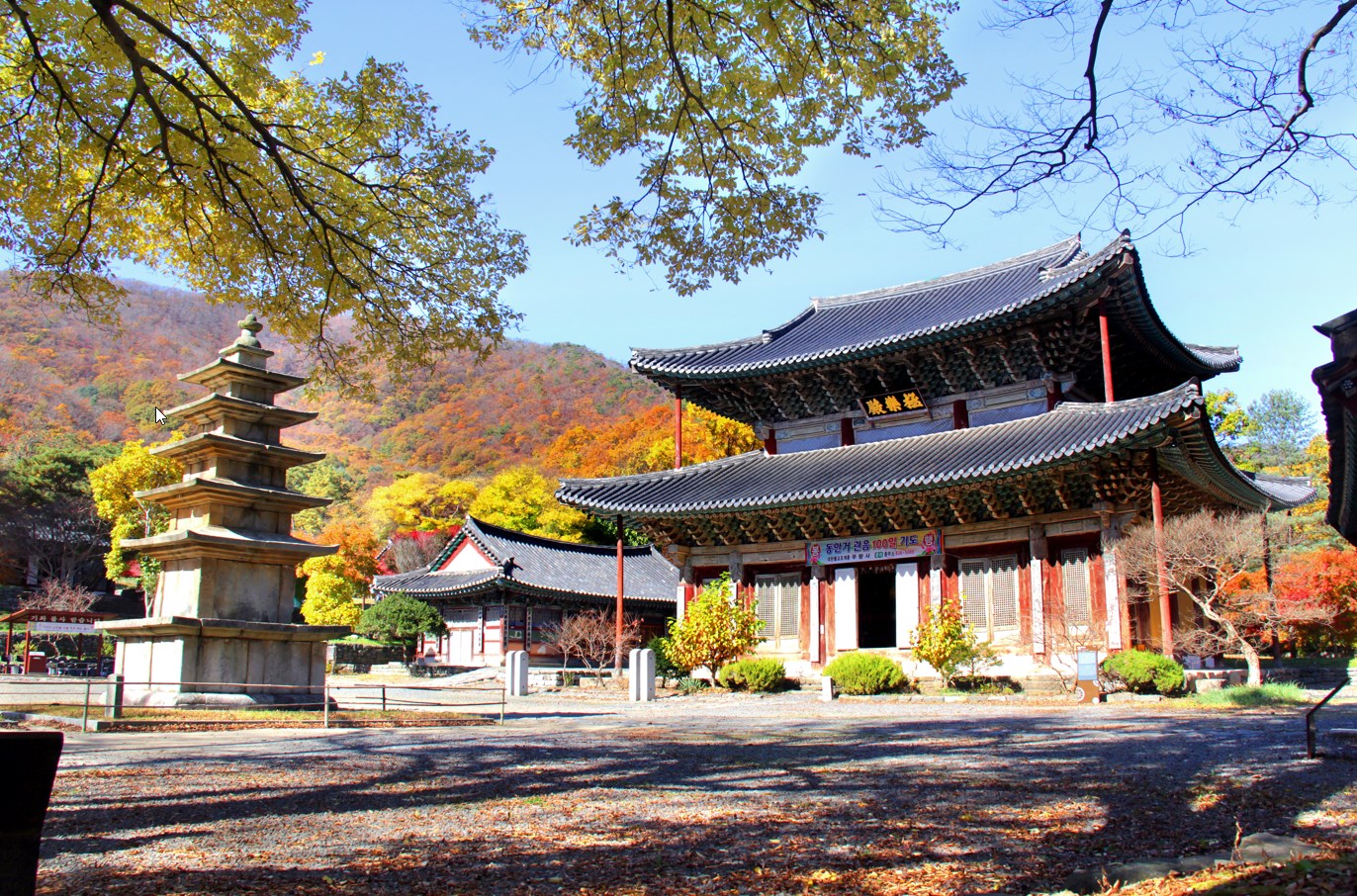만수산 무량사 - 천년고찰의 고즈넉함 자연 속에서 만나는 평온함