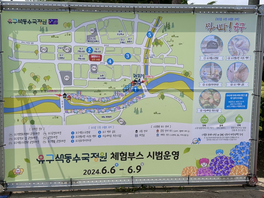 유구색동수국정원 수국축제