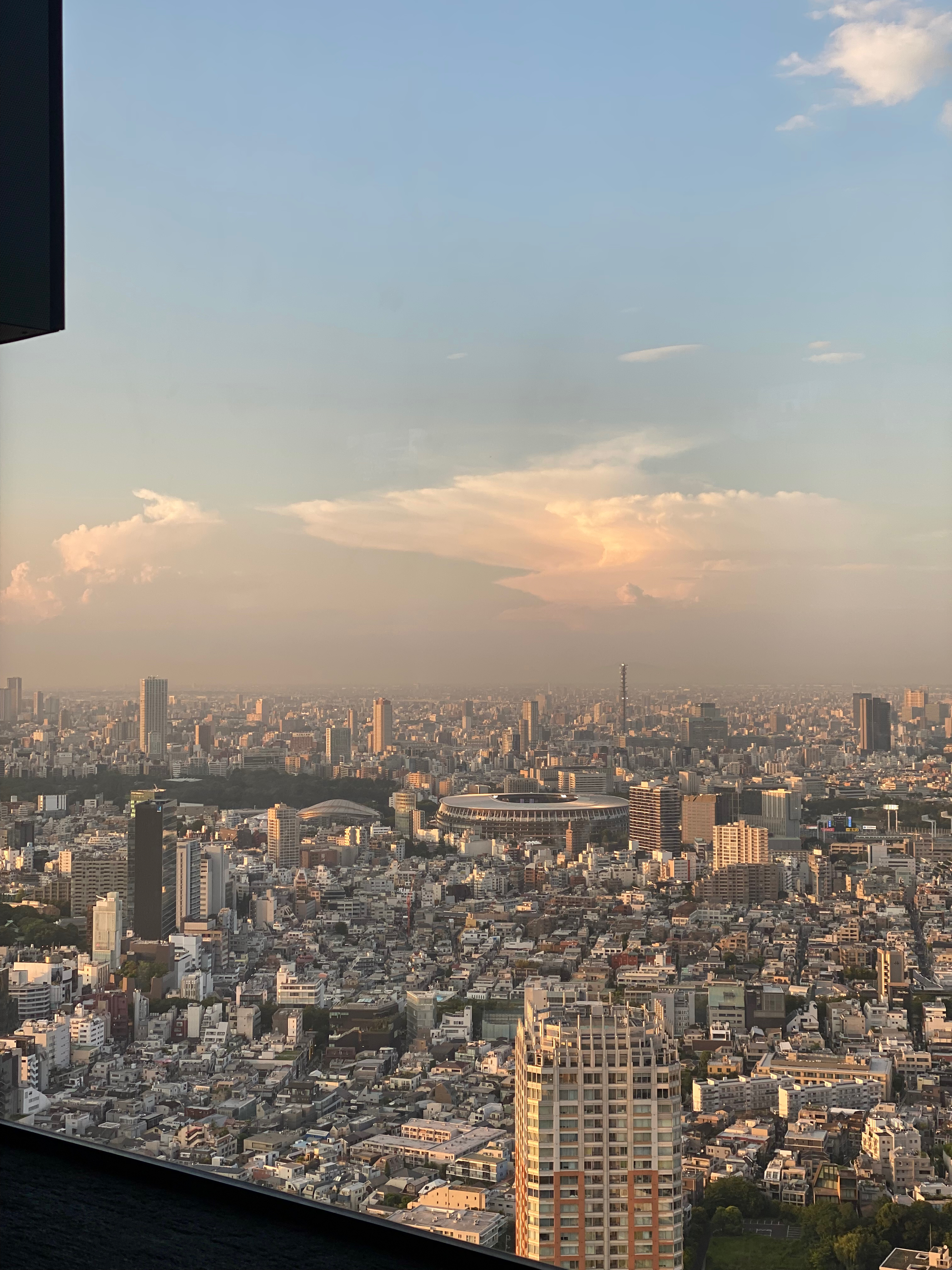 시부야 전망대에서 찍은 사진