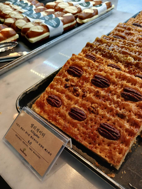 아웃팅스 엘리게이터