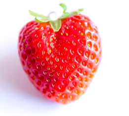 류마티스 관절염에 좋은 음식 영양제 식단