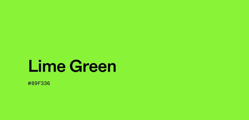 초록색(green) 계열의 색상 종류처럼 색과 아이템을 연결해 전체 착장을 정돈한 코디입니다.