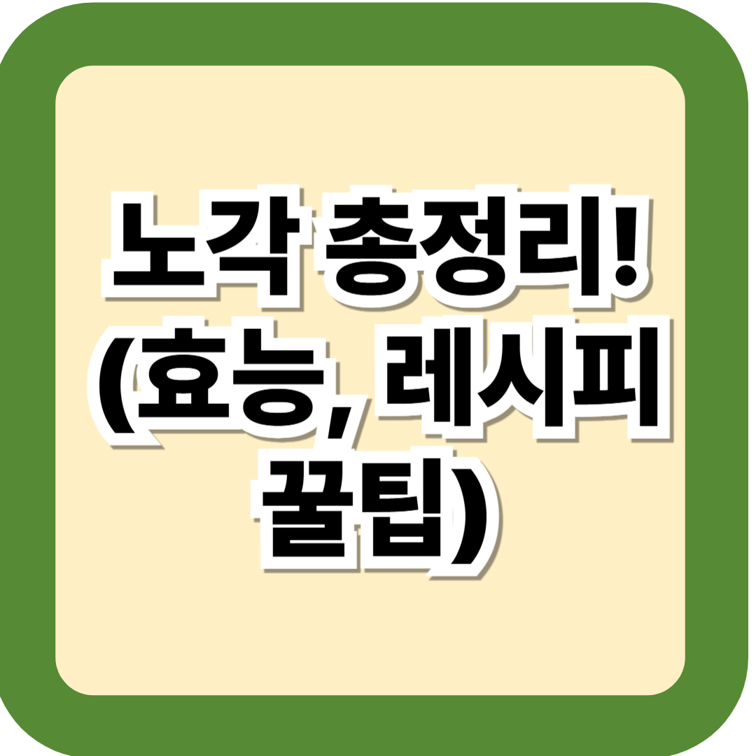 노각 총정리 ❘ 효능부터 노각무침·노각장아찌 황금레시피까지