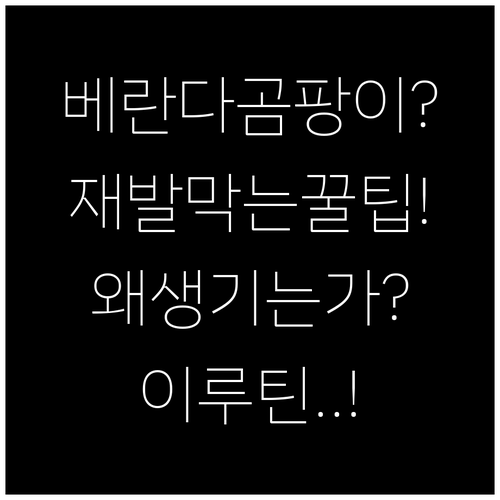 베란다 곰팡이 생기는 이유부터 재발 ..