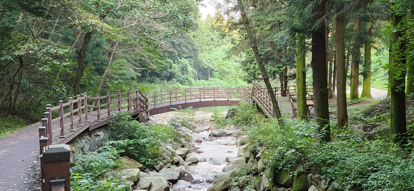 긴 장마 후 물이 불어난 장성 치유의숲