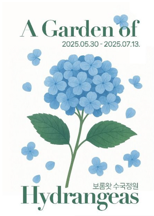 보롬왓 수국정원 축제