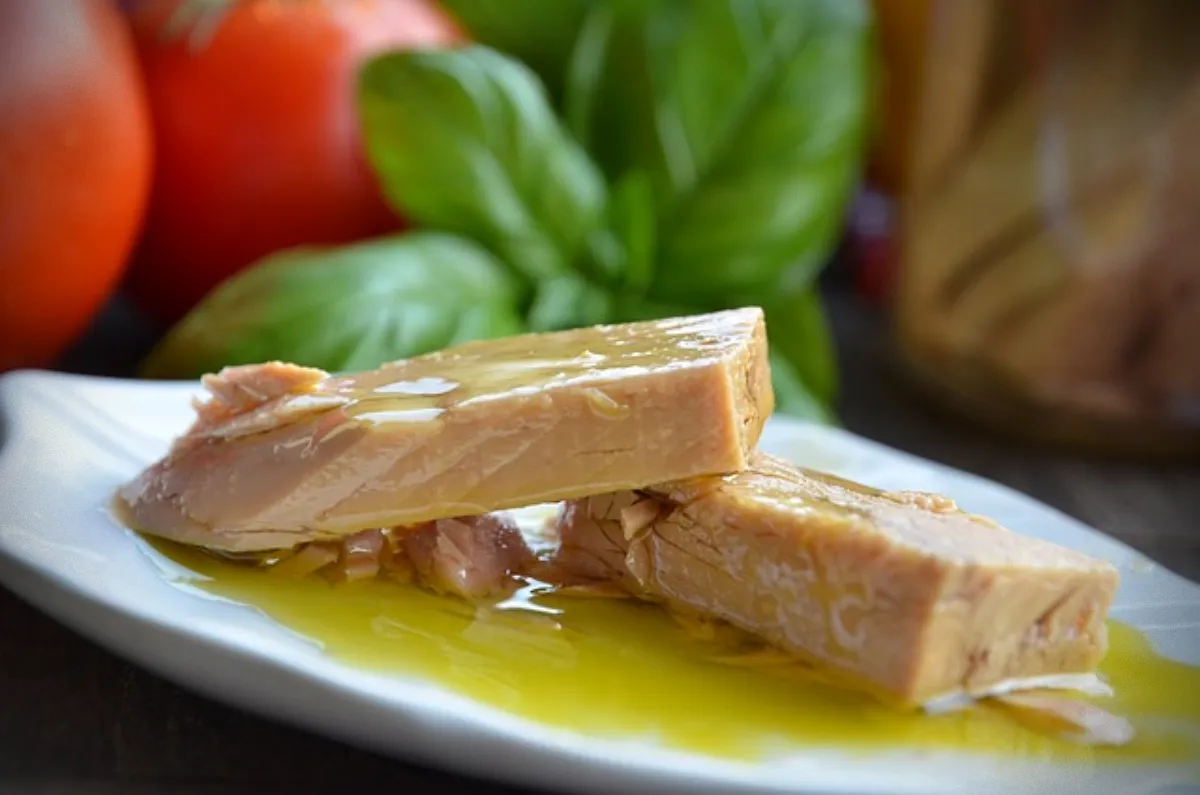 고양이가-먹으면-안-되는-위험한-음식-접시에-담긴-참치캔